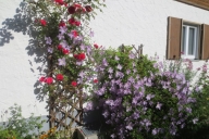 breitachklamm-201607