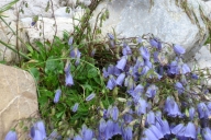 breitachklamm-201622