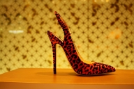 dubai-u-abu-dhabi-2013-08