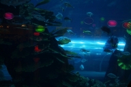 dubai-u-abu-dhabi-2013-09