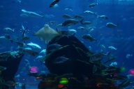 dubai-u-abu-dhabi-2013-11