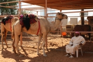 dubai-u-abu-dhabi-2013-48