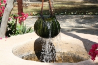 dubai-u-abu-dhabi-2013-49