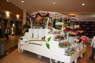 dubai-u-abu-dhabi-2013-51