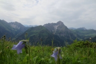 ochsenhofer-kc3b6pfe-05