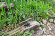 ochsenhofer-kc3b6pfe-08