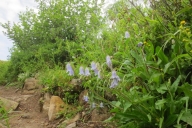 ochsenhofer-kc3b6pfe-12