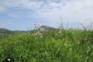 ochsenhofer-kc3b6pfe-16