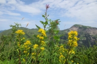 ochsenhofer-kc3b6pfe-18