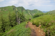 ochsenhofer-kc3b6pfe-19