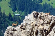 auf-dem-widderstein-08