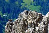 auf-dem-widderstein-12